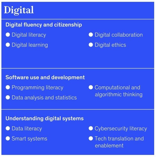 Blue infographic titled "Digital" lists key competencies: digital fluency, software use, and understanding systems. Includes skills like digital literacy, programming, and cybersecurity.